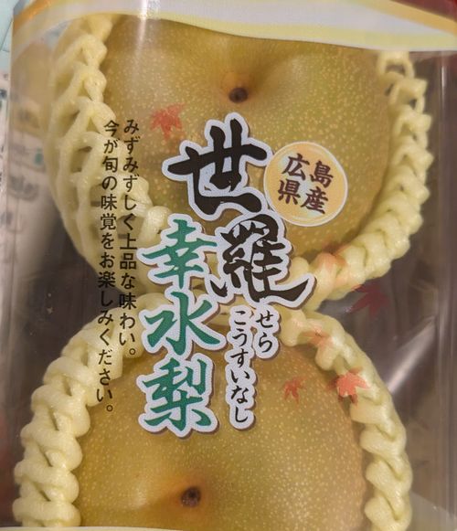 画像の説明