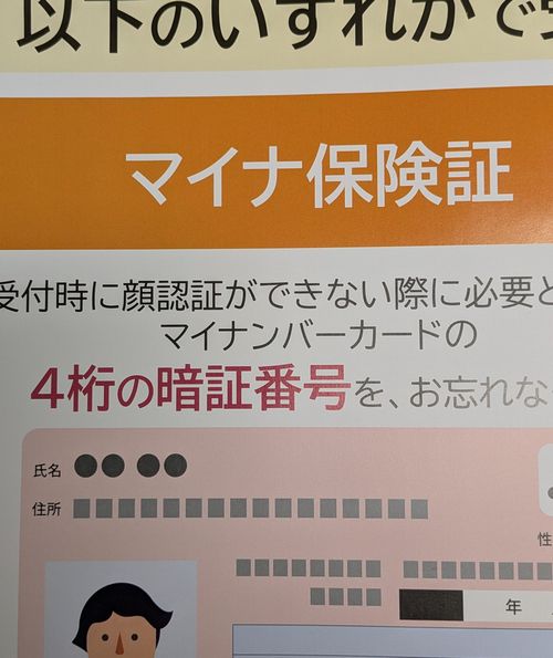 画像の説明