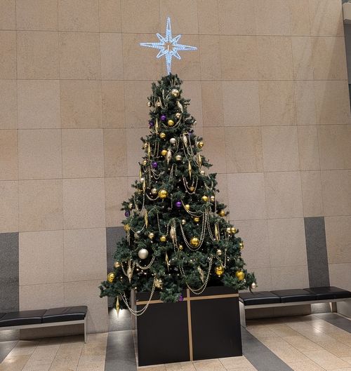 PXL_20251130_092130190 (1)